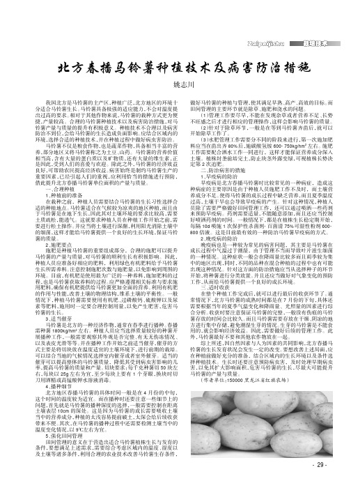 北方春播马铃薯种植技术及病害防治措施