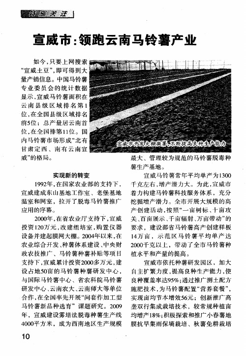 宣威市：领跑云南马铃薯产业