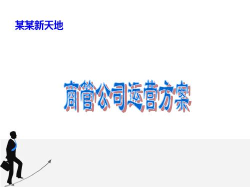 某商业经营管理公司运营方案概要