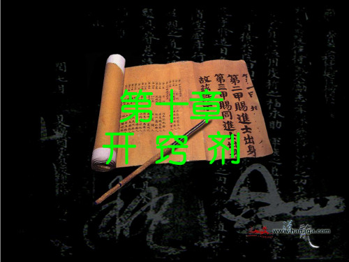 11开窍剂精品PPT课件