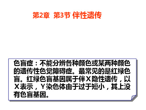 高一生物伴性遗传1