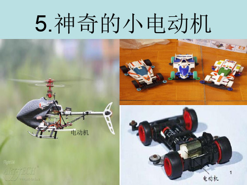 【精选】六年级上册科学课件-3.5神奇的小电动机 ｜教科版  (共11张PPT)