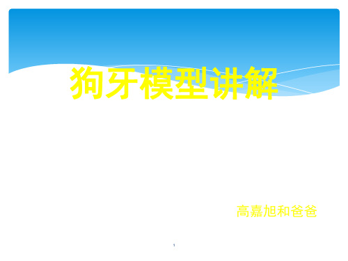 狗牙模型讲解(课堂PPT)