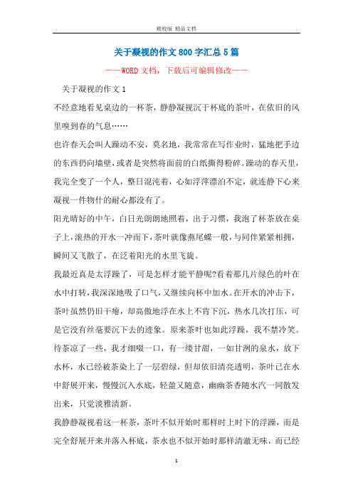 关于凝视的作文800字汇总5篇
