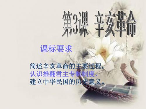 川教初中历史八上《第7课辛亥革命》PPT课件 (8)