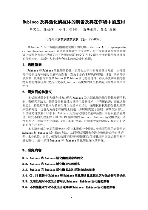 Rubisco及其活化酶抗体的制备及其在作物中的应用