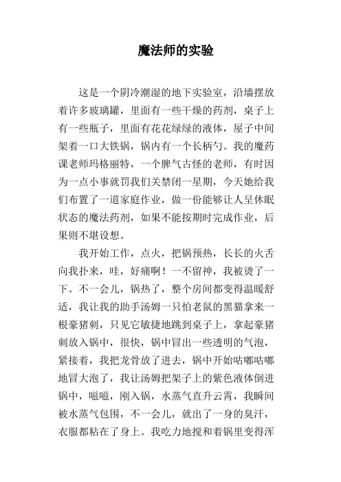 魔法师的实验