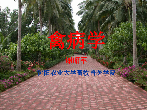 《禽病学》