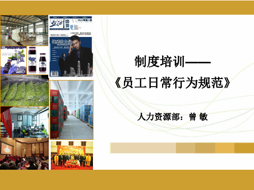 员工日常行为规范培训 ppt课件