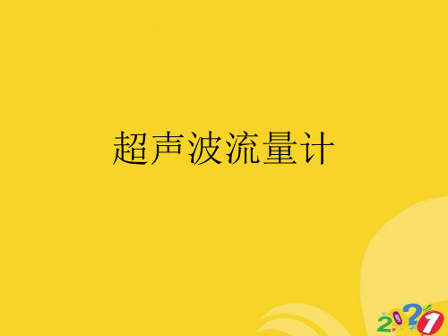 超声波流量计实用资料ppt