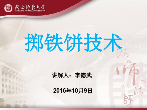 大学铁饼专项技术教学