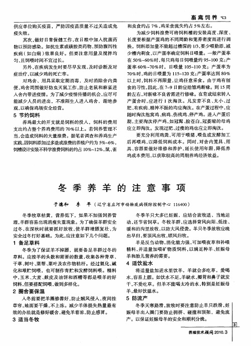 冬季养羊的注意事项