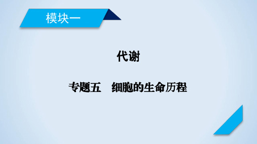 高中生物课件-专题5细胞的生命历程 课件(60张)