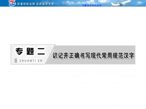 专题二 识记并正确书写现代常用规范汉字