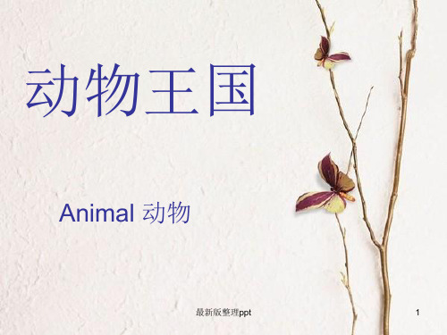 英语---动物ppt课件