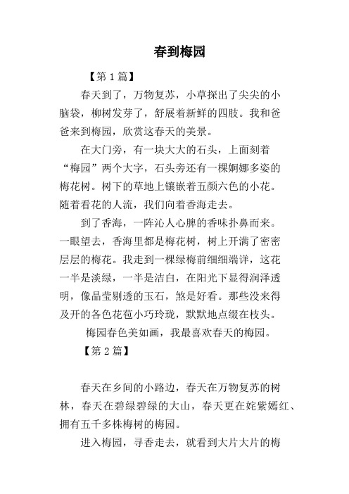 春到梅园