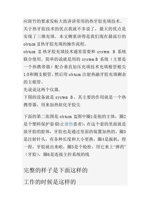 热牙胶技术