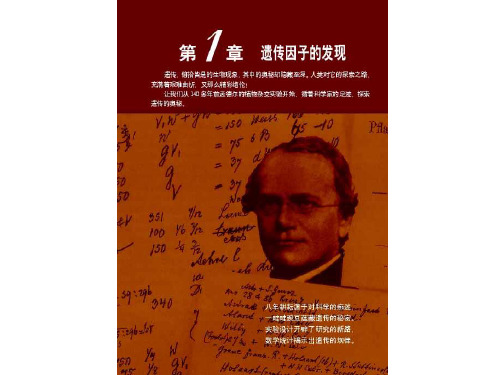 人教版高中生物必修二1.1《孟德尔的豌豆杂交实验(一)》优质课件