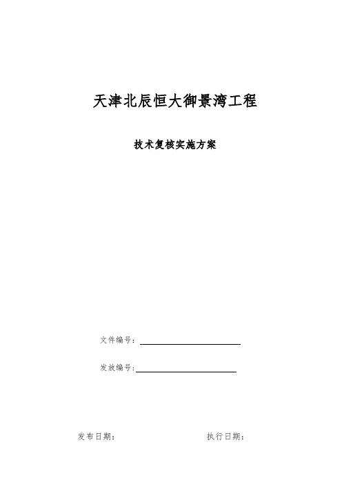 技术复核方案【范本模板】