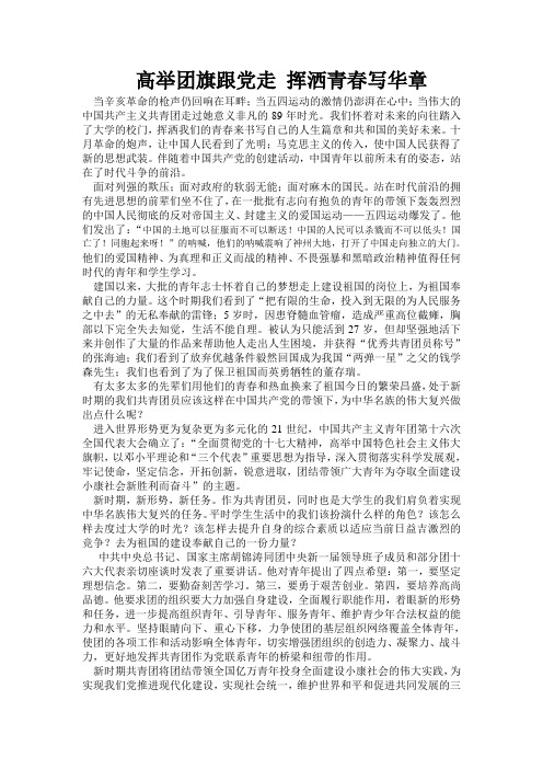 高举团旗跟党走 挥洒青春写华章