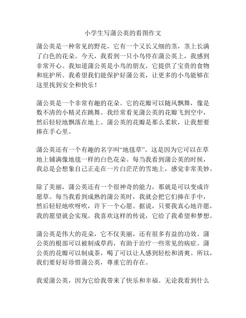 小学生写蒲公英的看图作文