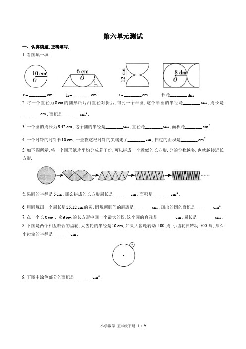 (苏教版)小学数学五年级下册 第六单元测试(含答案)