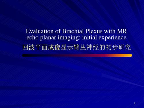MRI臂丛神经检查ppt课件