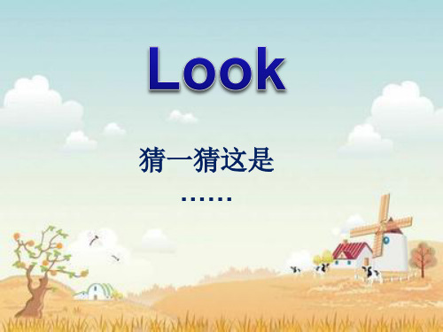 纳尼亚传奇.