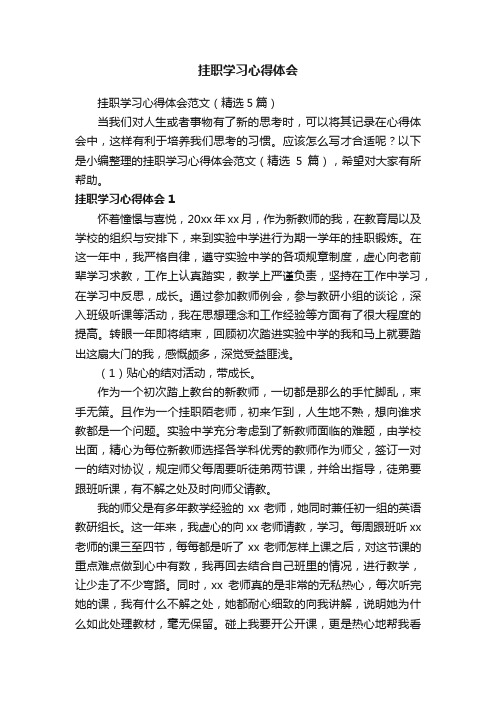 挂职学习心得体会范文（精选5篇）