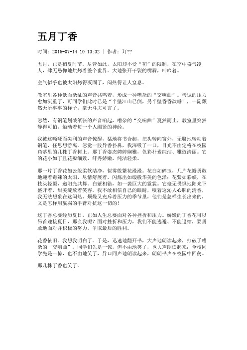 五月丁香