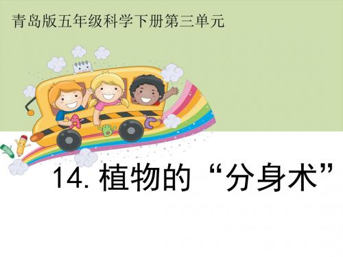 14《植物的“分身术”》教学课件