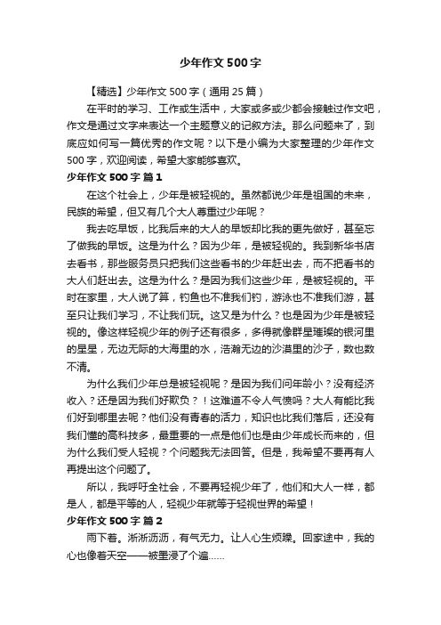 【精选】少年作文500字（通用25篇）