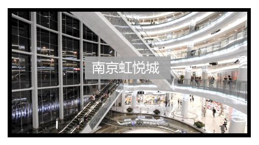 南京虹悦城项目调研报告