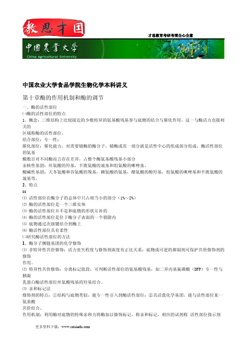 中国农业大学食品学院生物化学本科讲义