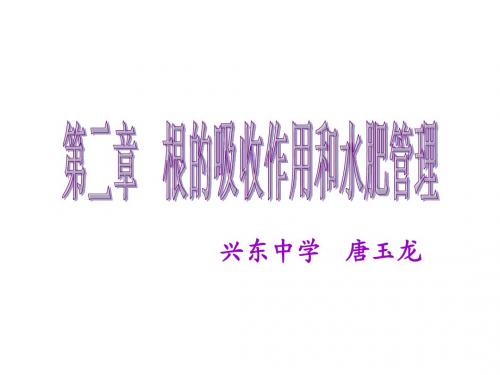 第二章 根的吸收作用与水肥管理