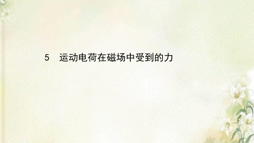 2020_2021学年高中物理第三章磁场5运动电荷在磁场中受到的力课件新人教版选修3_1