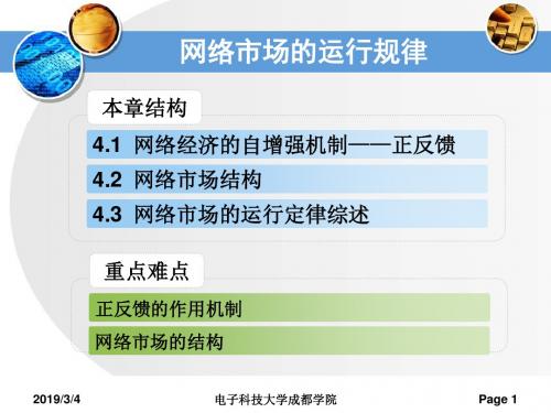 网络市场的运行规律-精选文档