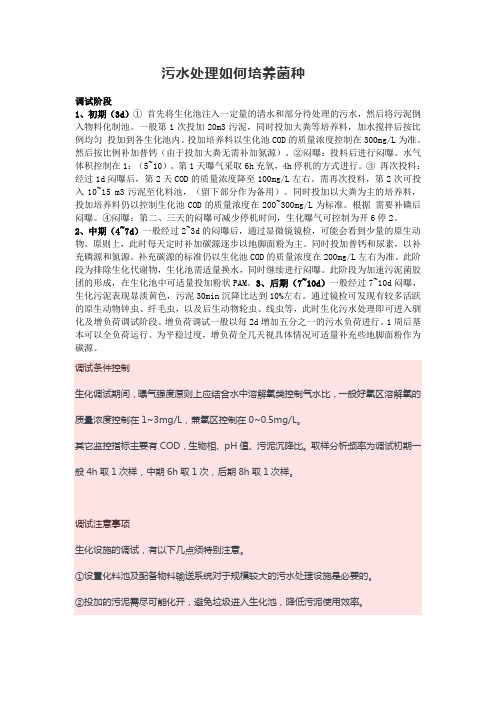 污水处理如何培养菌种
