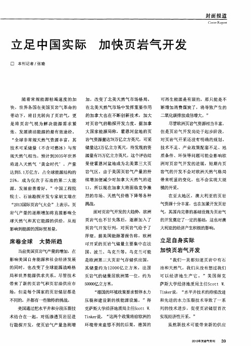 立足中国实际加快页岩气开发