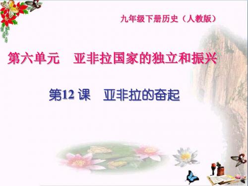 九年级历史下册全一册闯关习题课件PPT(打包19套) 人教版15