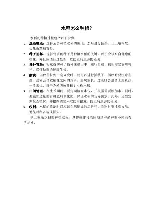 水稻怎么种植？