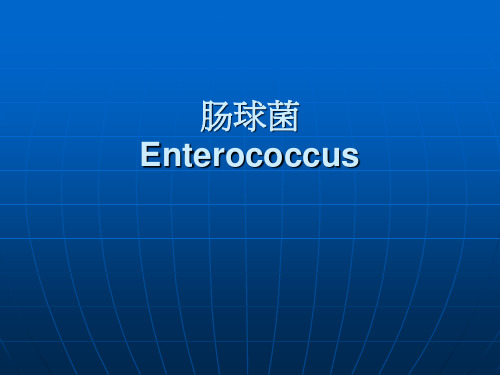 临床微生物及微生物检验 肠球菌.