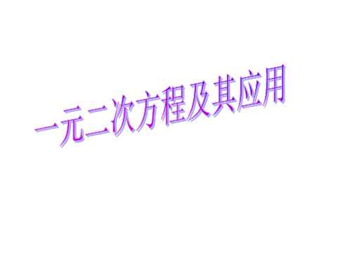 北师大课标版初中数学九年级上册第二章一元二次方程及其应用(共18张PPT)