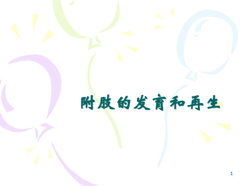 附肢的发育和再生