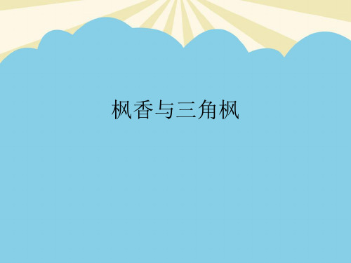 【优】枫香与三角枫比较识别最全PPT资料