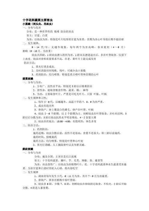 昆虫整理资料