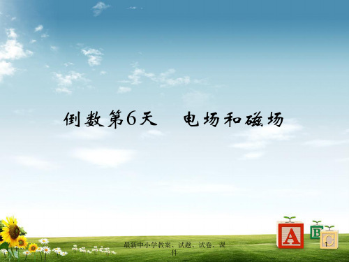 高考物理二轮复习 倒数十天冲刺 倒数第6天 电场和磁场课件