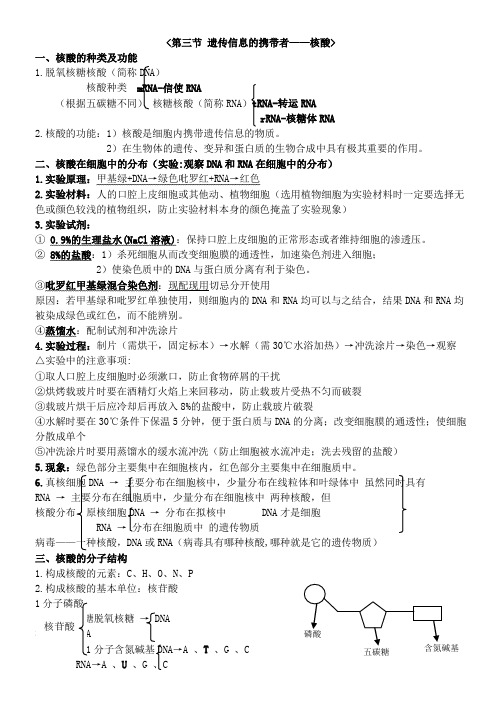 遗传信息的携带者—核酸  知识点总结