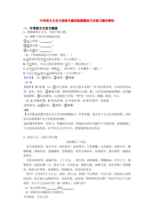 中考语文文言文阅读专题训练解题技巧及练习题含解析