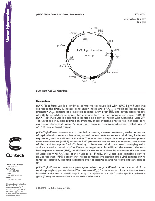 pLVX-Tight-Puro-Luc Vector Information